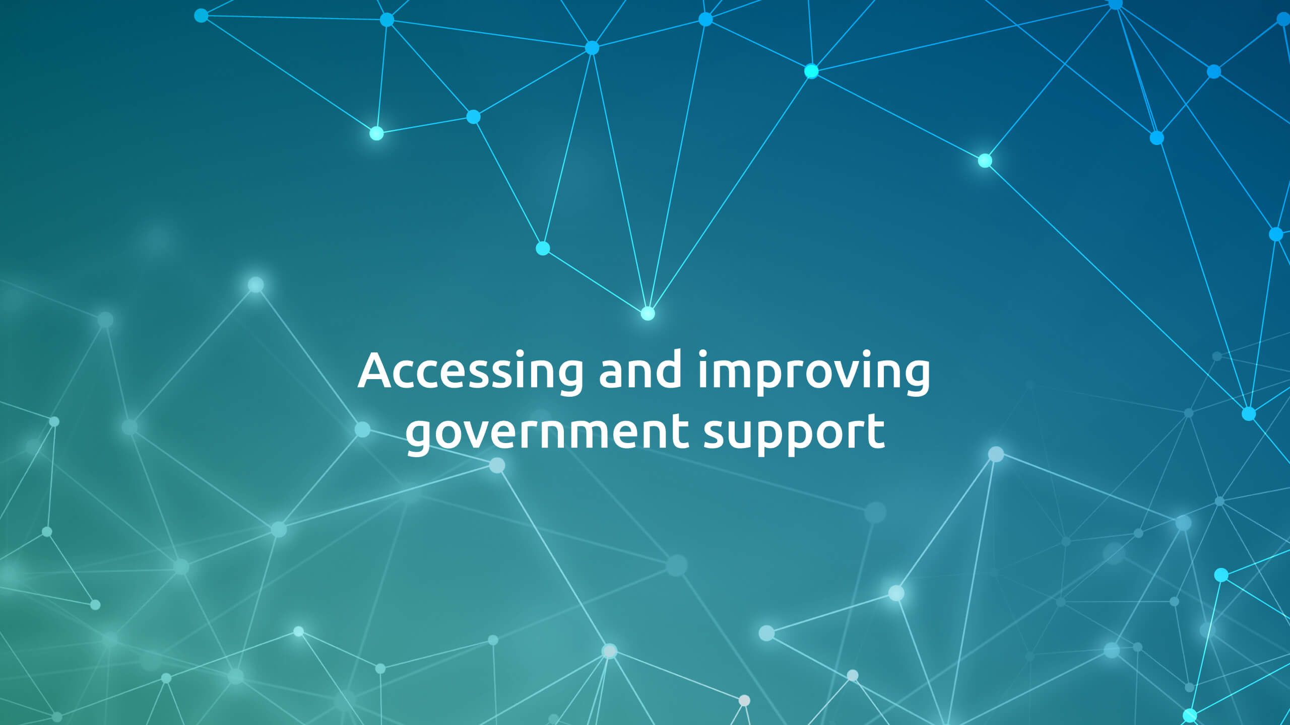 Accessing and improving government support   