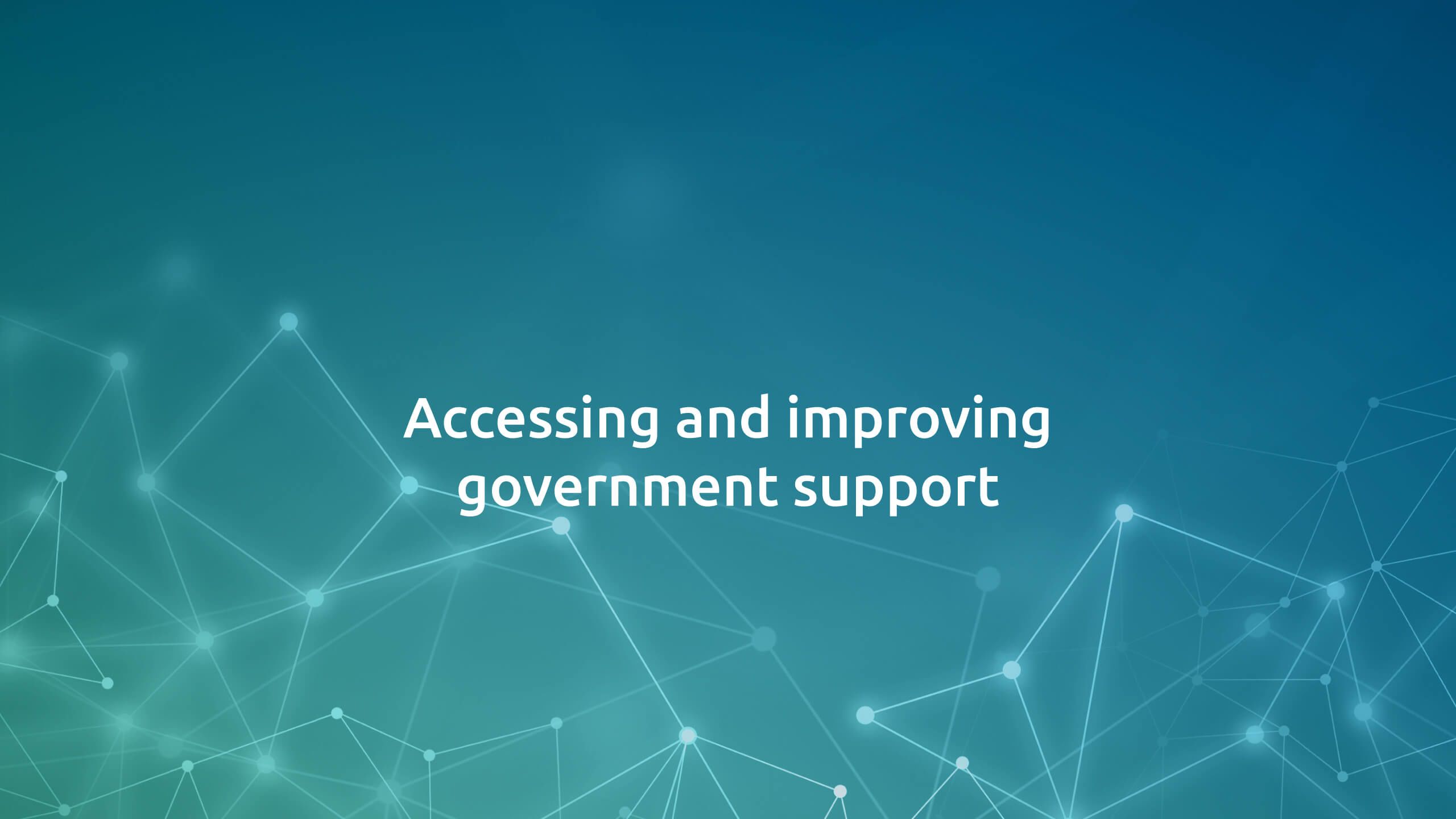 Accessing and improving government support   