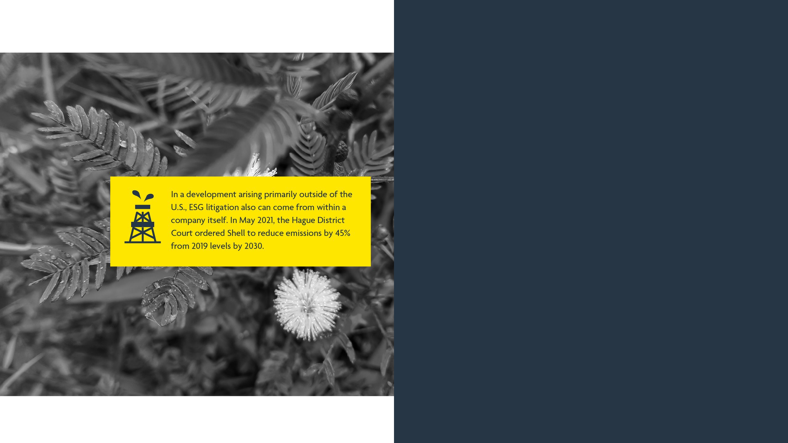 In a development arising primarily outside of the U.S., ESG litigation also can come from within a company itself. In May 2021, the Hague District Court ordered Shell to reduce emissions by 45% from 2019 levels by 2030.